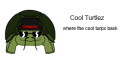 Cool Turtlez Cool Turtlez