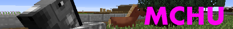 Minecraft Horse University