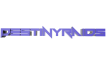 DestinyRaids DestinyRaids