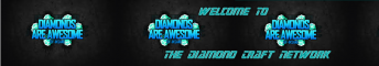 The DiamondCraft Network The DiamondCraft Network