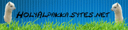 HolyAlpaca- Simple Survival, Easy claiming