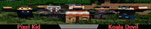 Irish And Build