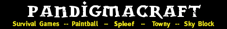The PandigmaCraft Network The PandigmaCraft Network