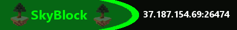 Custom SkyBlock Custom SkyBlock