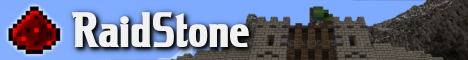RaidStone RaidStone