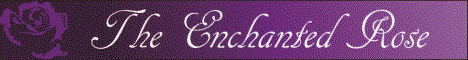 Enchanted Rose Enchanted Rose