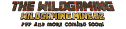 THE WILD GAMING THE WILD GAMING