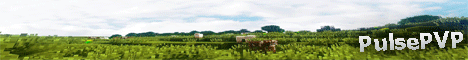 PulsePVP-Factions PulsePVP-Factions