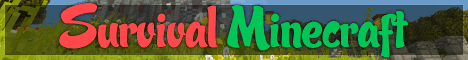 Survival Minecraft