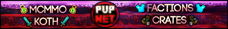 PvPNetwork