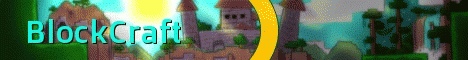 BlockCraft!