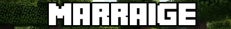 MineTale - FREE FLY