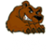 BearNation BearNation