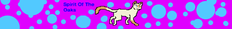 Warrior Cats Server Warrior Cats Server