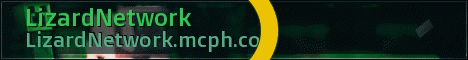 LizardNetwork LizardNetwork