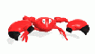 The Jumping Crab