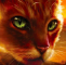 Warrior cats Sunset RP server Warrior cats Sunset RP server