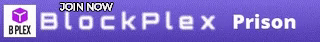 BlockPlex BlockPlex