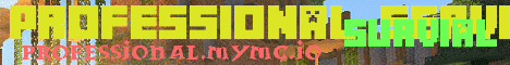 The Professional Server The Professional Server