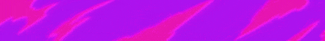 Prime Network Prime Network