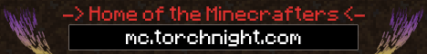 Torch Night Enchanted Survival (we are online) Torch Night Enchanted Survival (we are online)