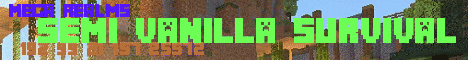 The New Mega Realms The New Mega Realms