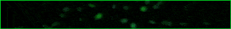 FactionsRPG FactionsRPG