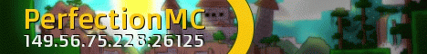 PerfectionMC PerfectionMC