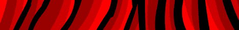 KingcraftMC KingcraftMC