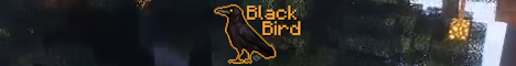 Blackbird Blackbird