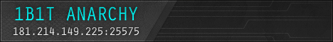 [New] 1b1t Anarchy Server