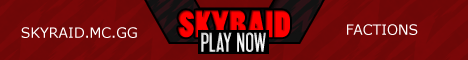 SkyRaid SkyRaid