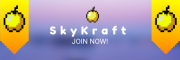 SkyKraft SkyKraft