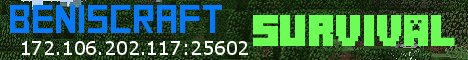 BenisCraft BenisCraft