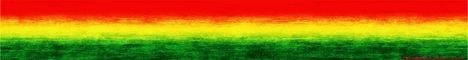 Rasta Land Rasta Land
