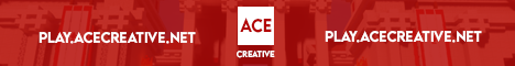 Ace Network Ace Network