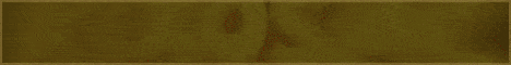 RixosMC RixosMC