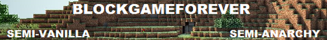 BlockGameForever BlockGameForever
