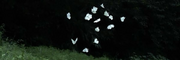 Oblivion SMP
