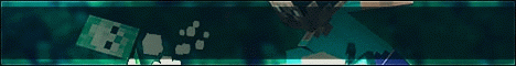 LifeSurvial Network LifeSurvial Network
