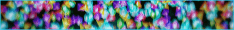 LINCES NETWORK LINCES NETWORK