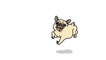 pugsmp