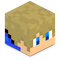 RAPID SMP RAPID SMP