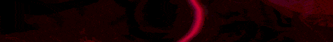 Flame Network Flame Network