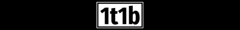 1t1b Minecraft Server