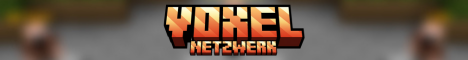 Voxel Netzwerk Voxel Netzwerk
