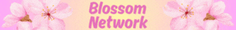 Blossom Network Blossom Network