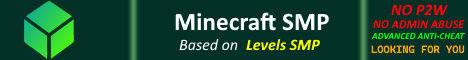 Levels Minecraft SMP