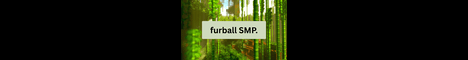 Furball SMP