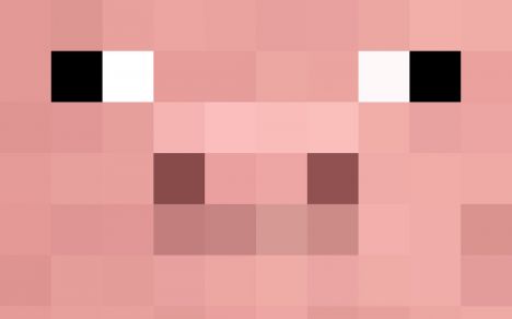 Pig Craft